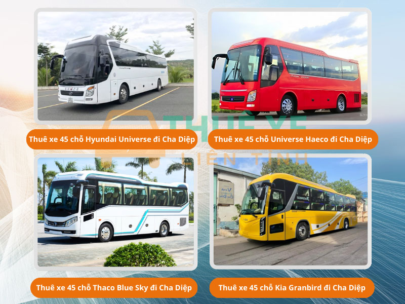 Thuê xe 45 chỗ Hyundai, Kia Granbird, Thaco,.. đi Nhà Thờ Tắc Sậy