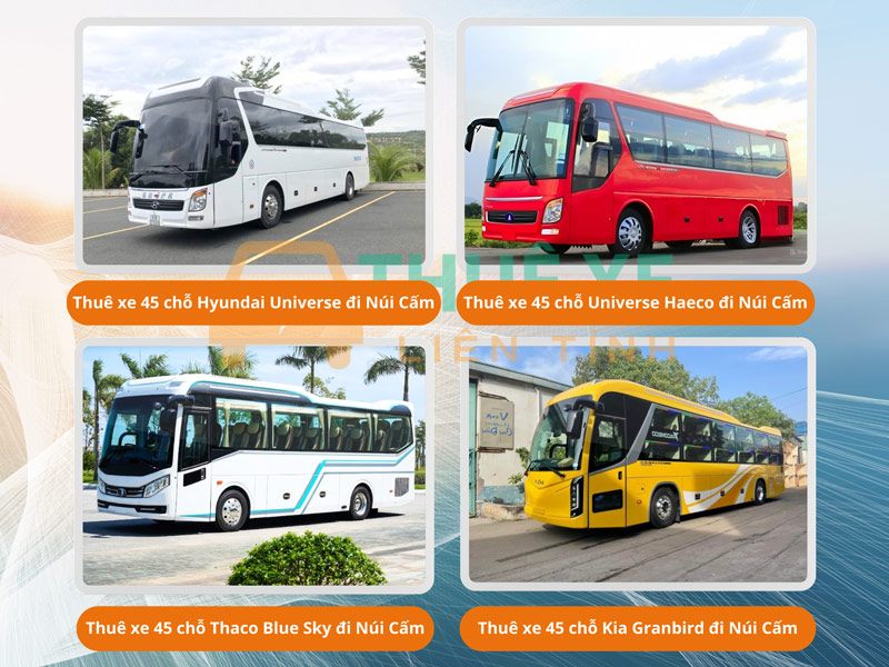 Thuê xe 45 chỗ đi Núi Cấm