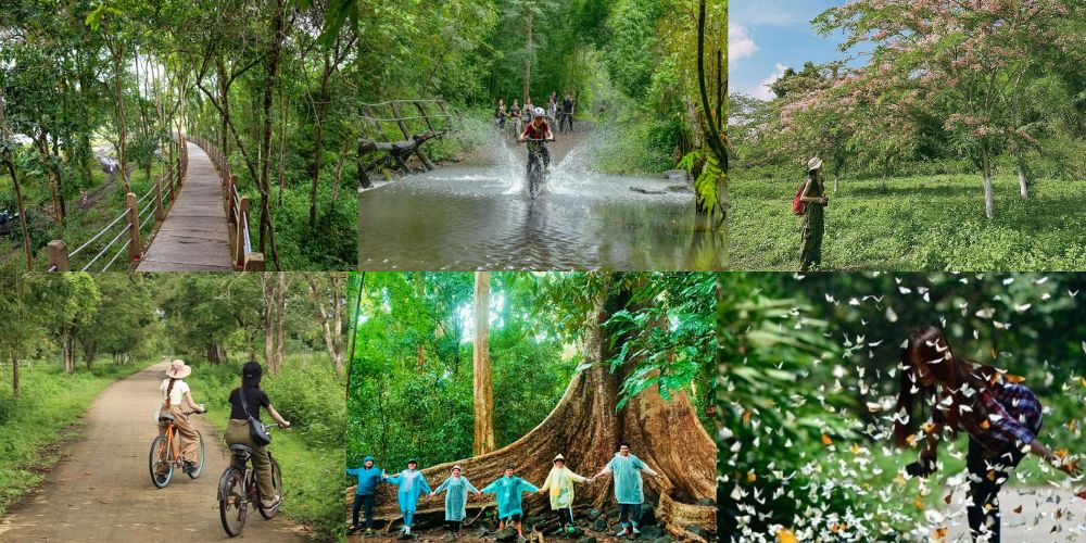 Rừng Nam Cát Tiên có hệ sinh tế hùng vĩ & nhiều hoạt động vui chơi