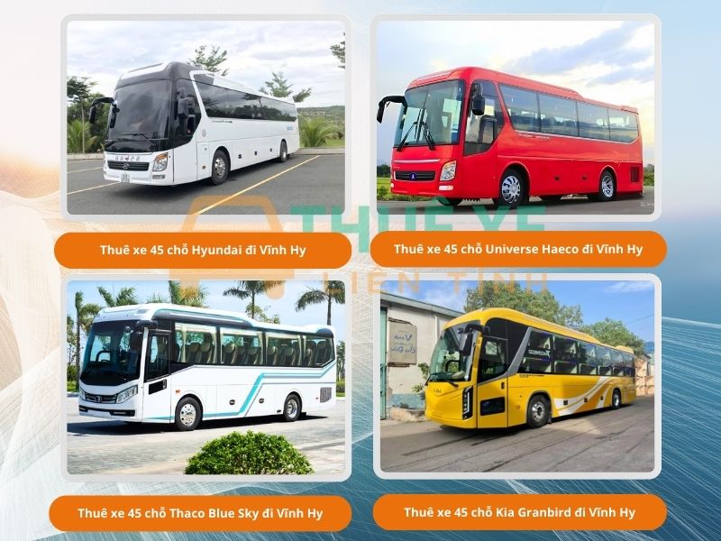 Thuê xe 45 chỗ giá tốt đi Vĩnh Hy tư Sài Gòn