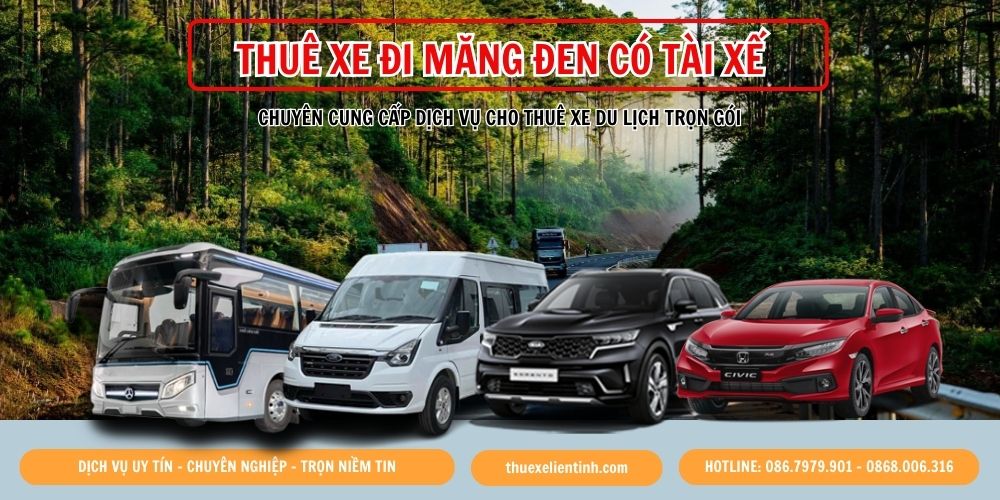 Thuê Xe Đi Măng Đen 4,7,9,12,29,45 Chỗ Giá Rẻ Từ TPHCM